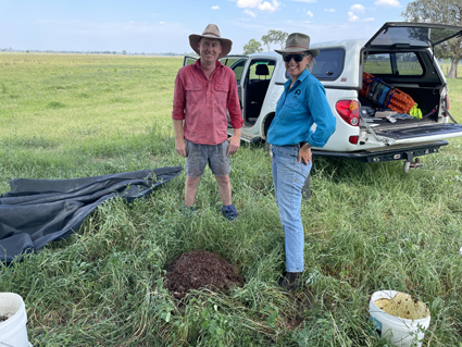 Dung beetles